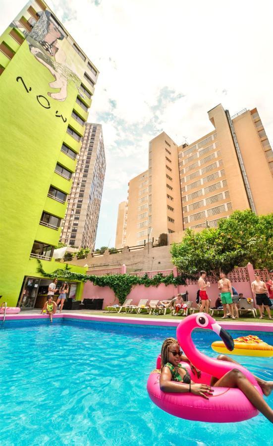 Now Benidorm Apartman Kültér fotó